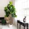 8ft. Artificial Grand Fiddle Leaf Tree in White Decorative Planter